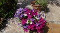 Blumen